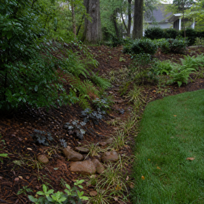 Charlotte Pro Landscape Editorial Team, founder of Charlotte Pro Landscape